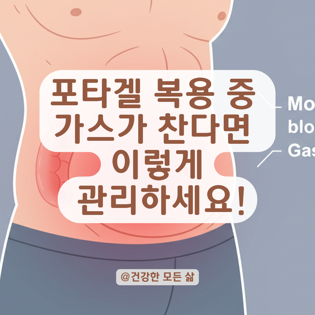 포타겔 복용 중 가스 찬다면? 과민성대장증후군과의 연관성까지 점검해보세요.