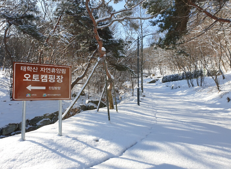  태학산자연휴양림 