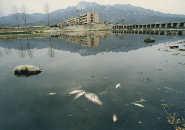 긍정적 회부효과와 부정적 외부효과