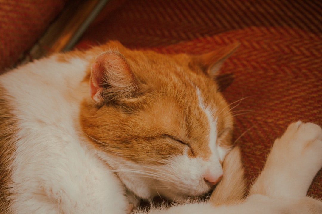 Sleep