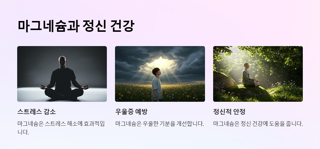 마그네슘과 정신건강