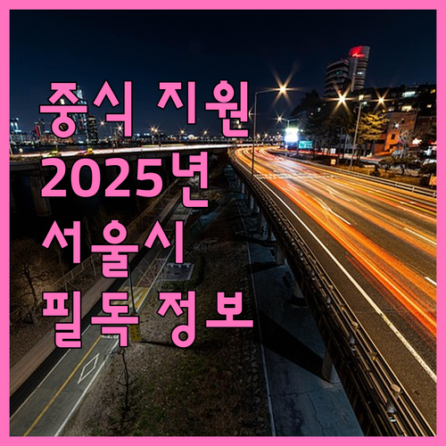 필독 2025 서울시 중식 지원: 모..