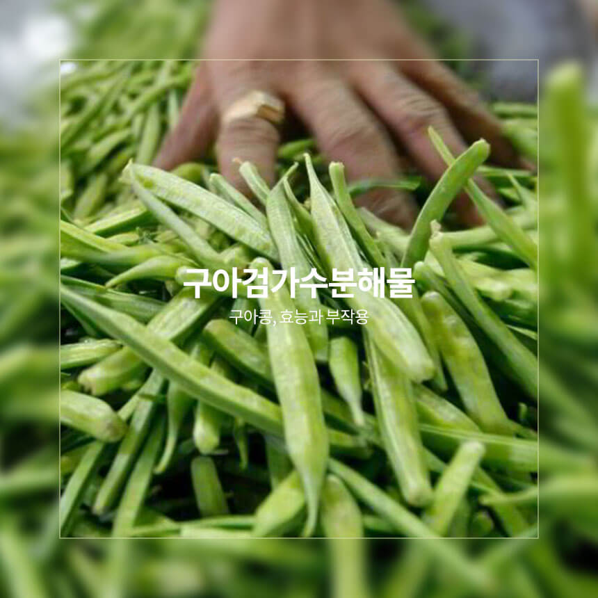 구아검가수분해물, 구아콩 효능, 부작용, 먹는법