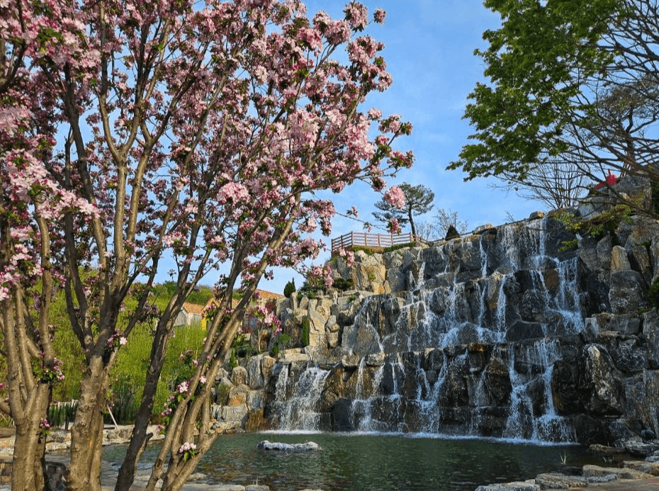 용인 자작나무 숲 봄 꽃 축제, 봄 날의 감성에 물들다!