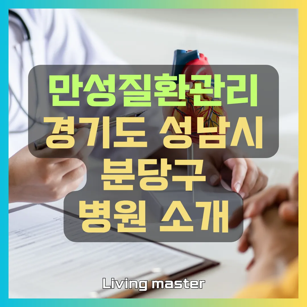 만성질환관리 경기도 성남시 분당구 지역 병원 현황