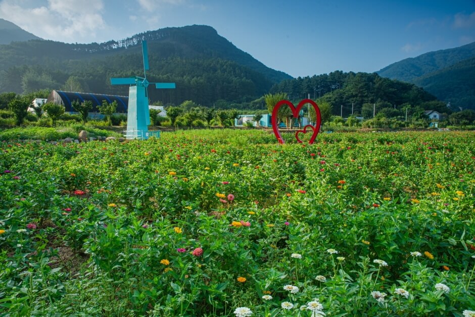 용수골 가을 축제3