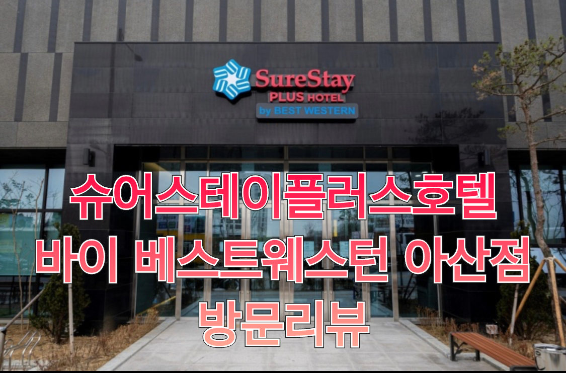 슈어스테이플러스호텔 바이 베스트웨스턴 아산점