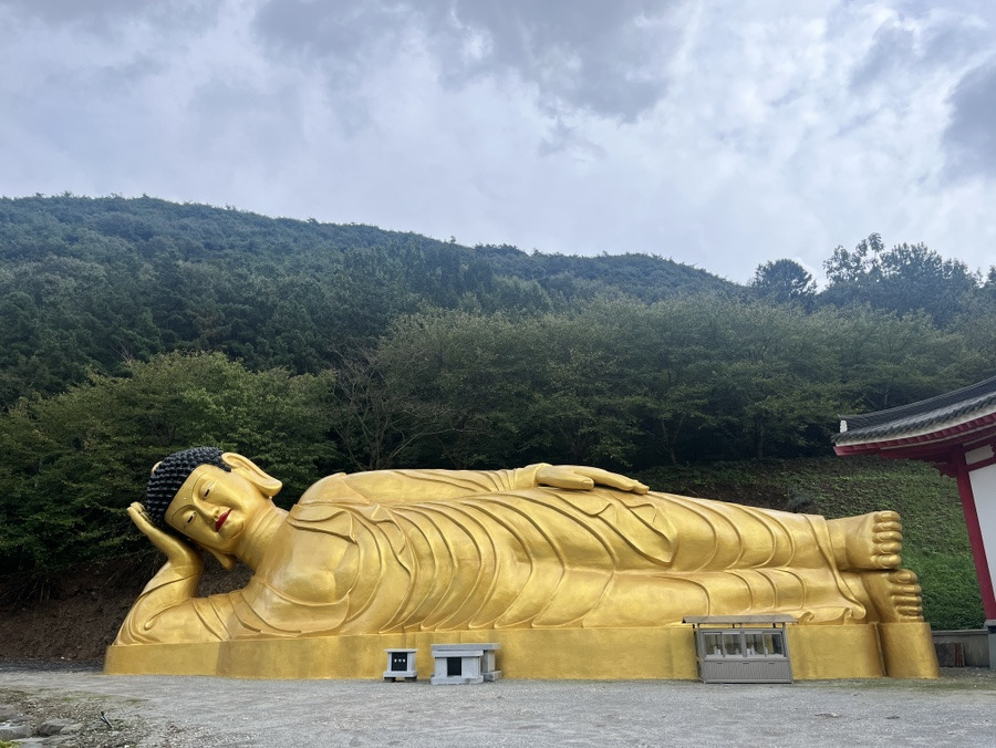 부여 1인 가구에 맞는 동네 추천 — 실제 생활 기준으로 보는 거주하기 편한 지역