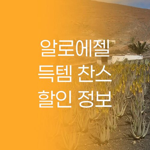 알로에 수딩젤, 득템 찬스! 할인 정