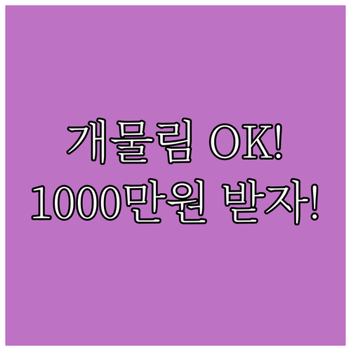 개물림 사고도 보장 2025 진주시민..