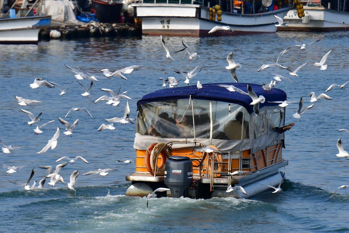연휴여행,포항,함께하기 좋은 여행,포항여행,국내여행,연휴여행,호미곶,구룡포,죽도시장,동해여행