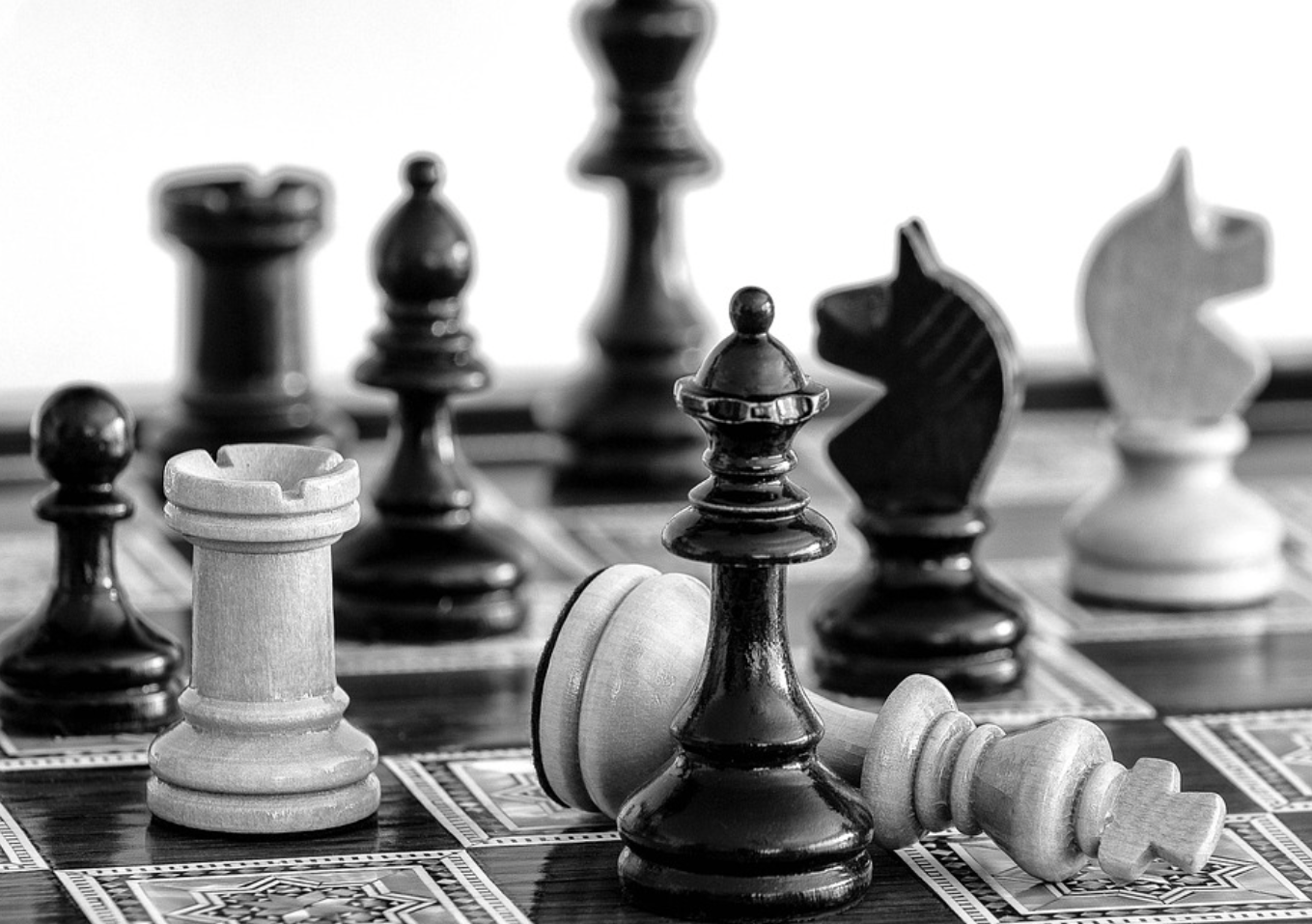 40대 남성을 위한 체스 영화 관련 사진