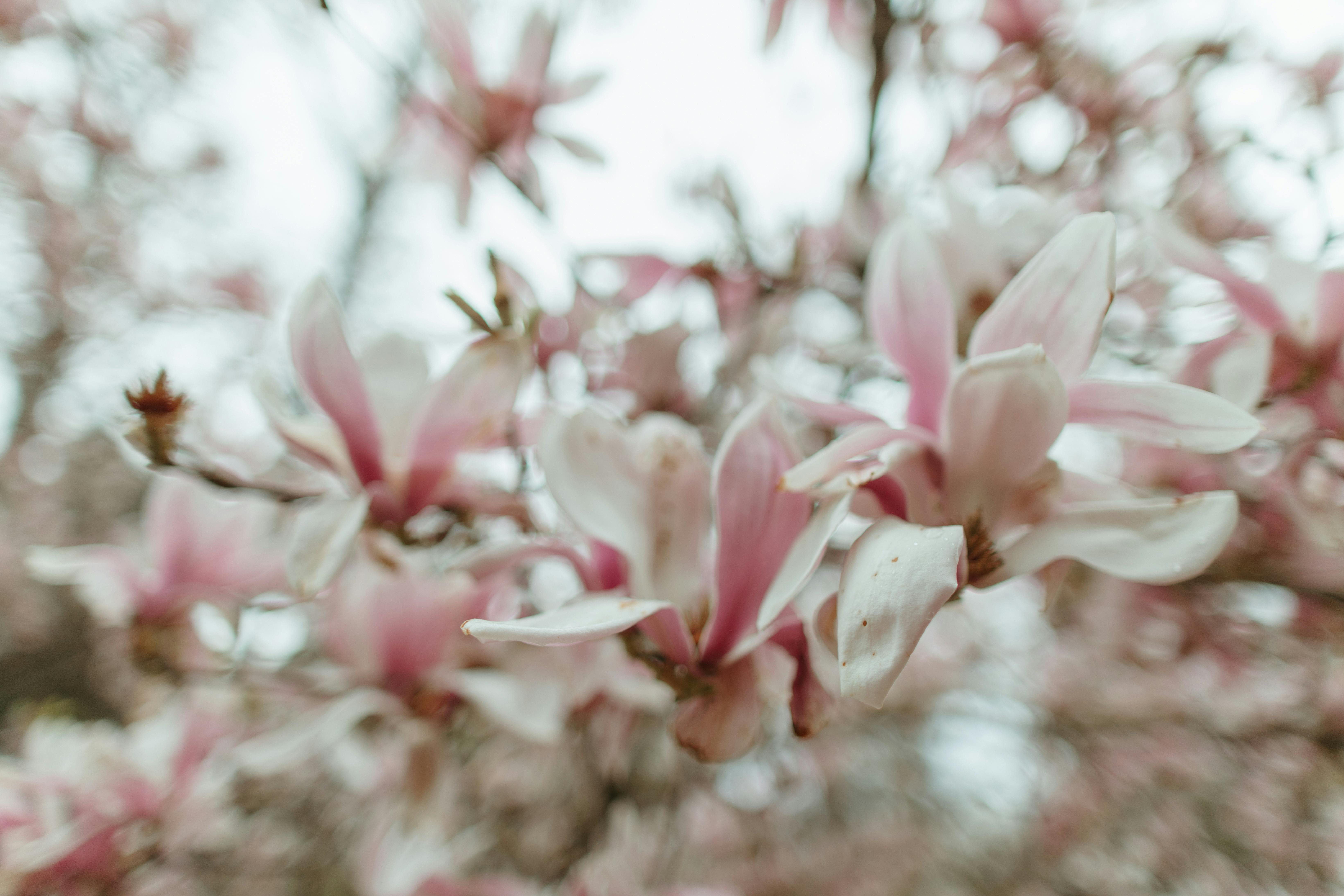 2025년 8월 14일 띠별 운세 - 오늘의 길흉과 조언 _용띠&amp;#44;뱀띠&amp;#44;말띠&amp;#44;양띠