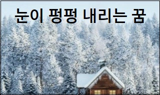 눈이 펑펑 내리는꿈