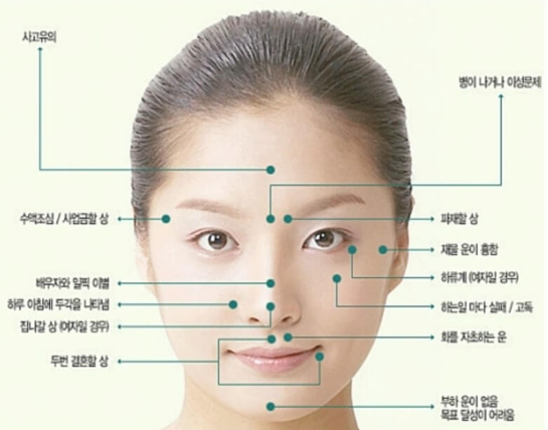 얼굴에서꼭빼야하는점