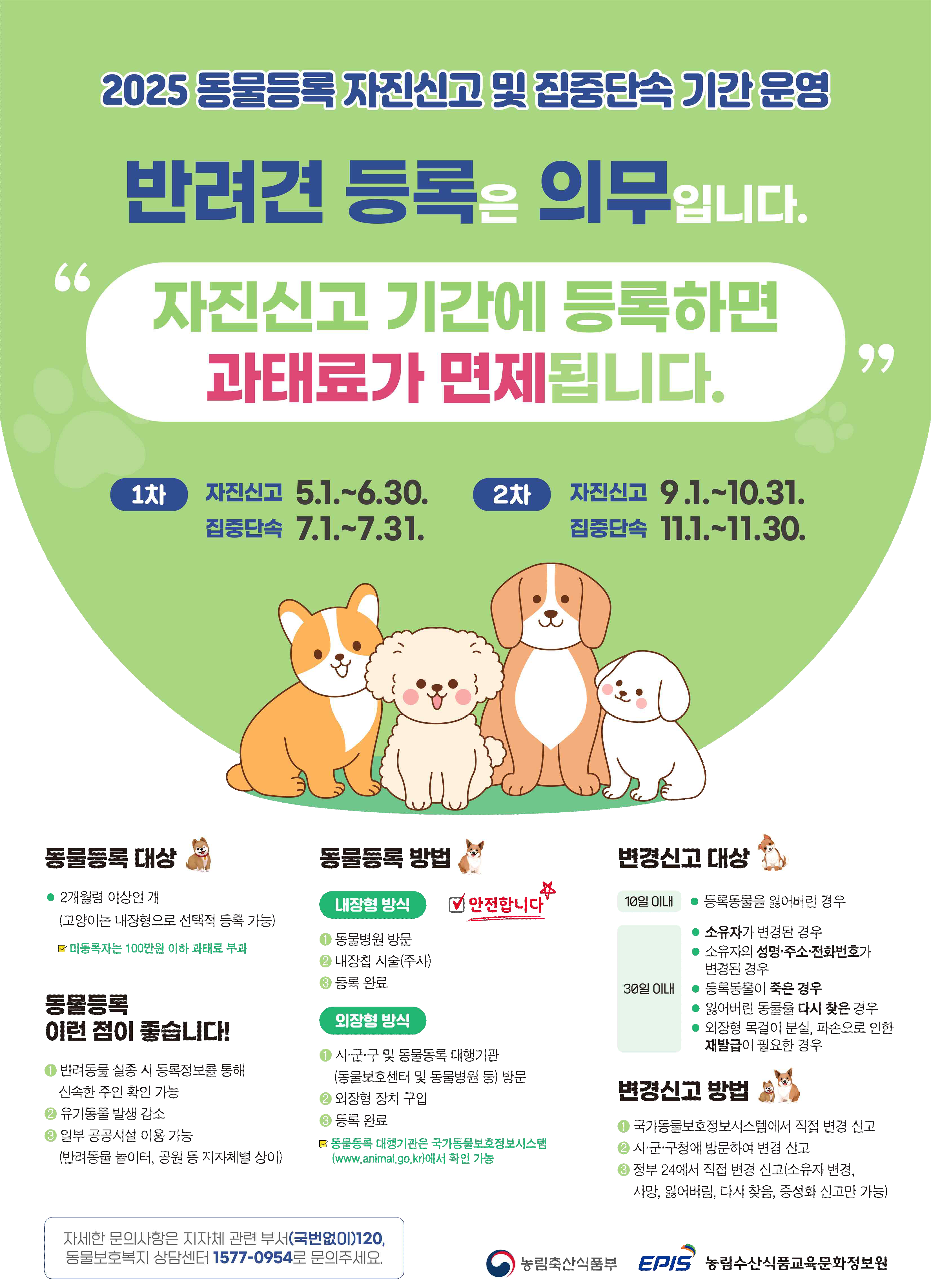 동물등록 자진신고