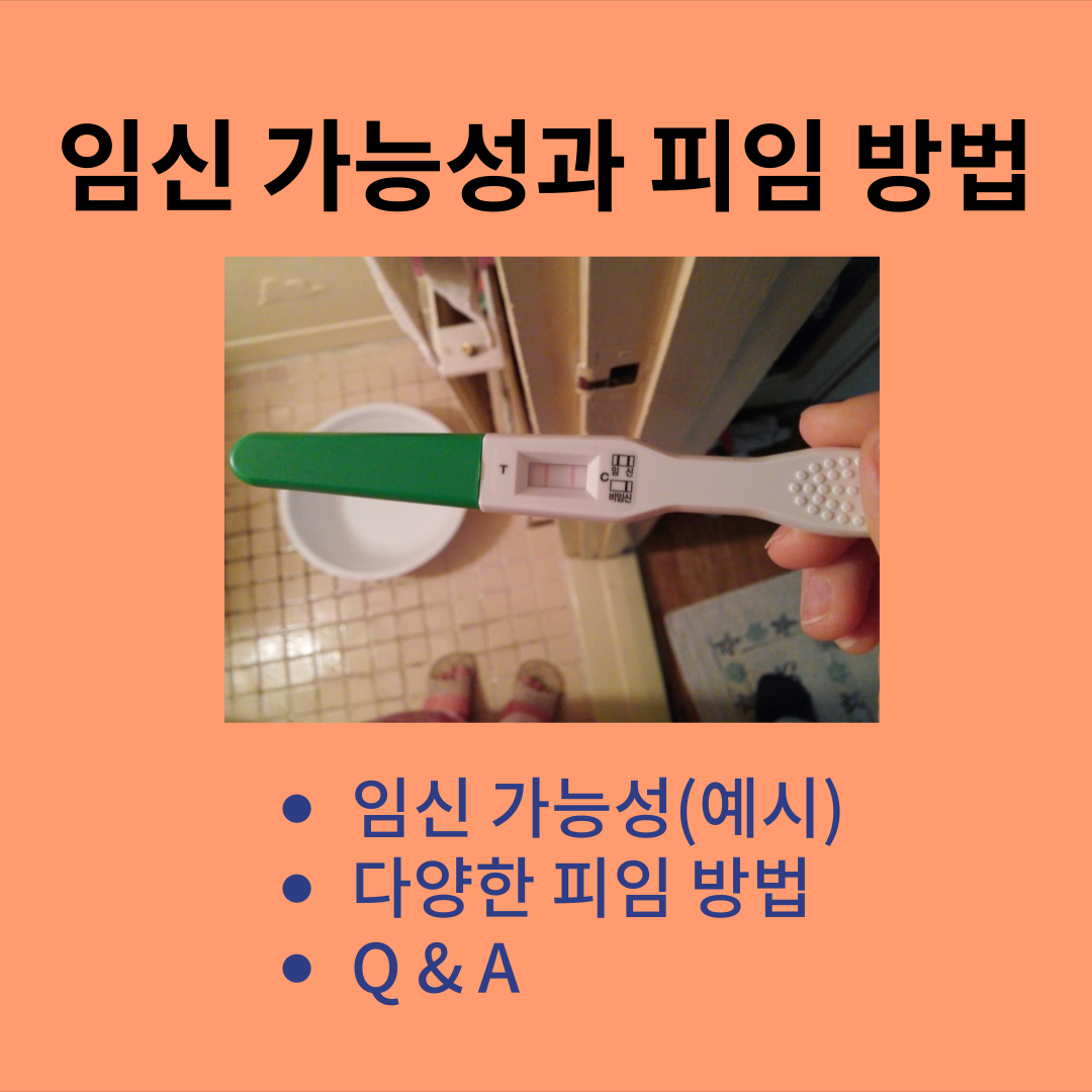 임신 가능성과 피임 방법