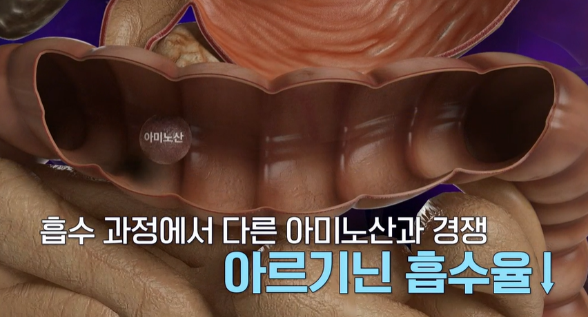 아르기닌 많은 음식