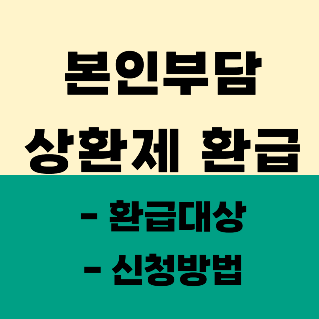 본인부담상한제 환급