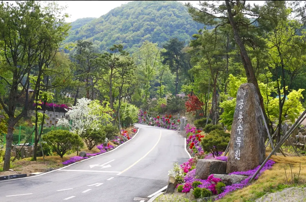덕평공룡수목원-입장료-운영시간-총정리-이천-가볼만한-곳