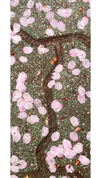 화무십일홍 뜻과 화무십일홍 권불십년 花無十日紅 자료집_23