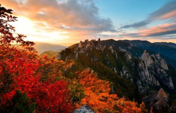 2025 가을 주왕산 단풍 절정 언제? 등산코스 추천 ❘ 청송 가을 여행