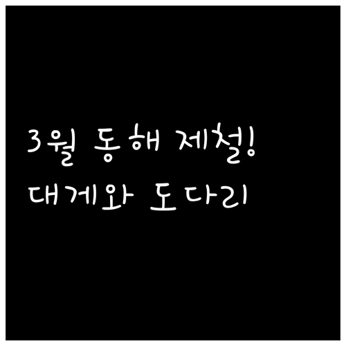 3월 동해 여행에서 꼭 먹어야 할 대..