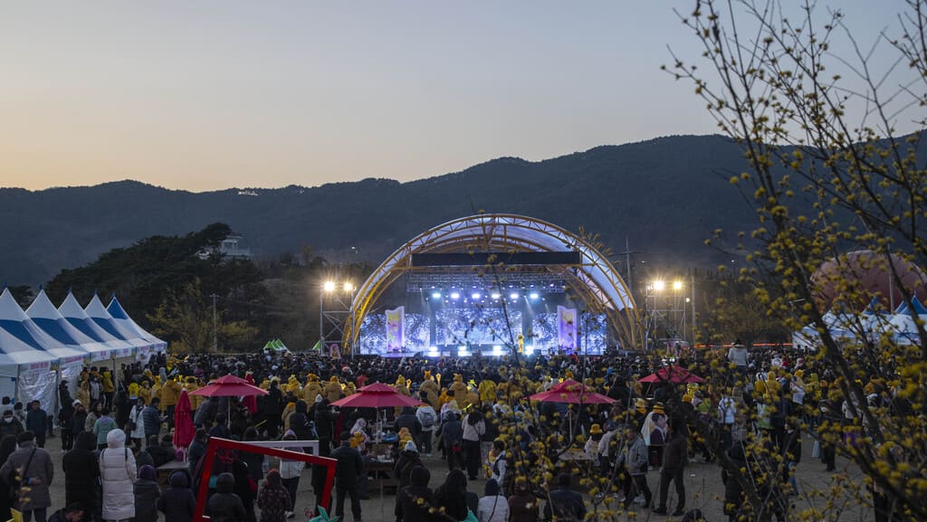 구례산수유축제 일정, 서울에서 당일치기 가능! 2025년