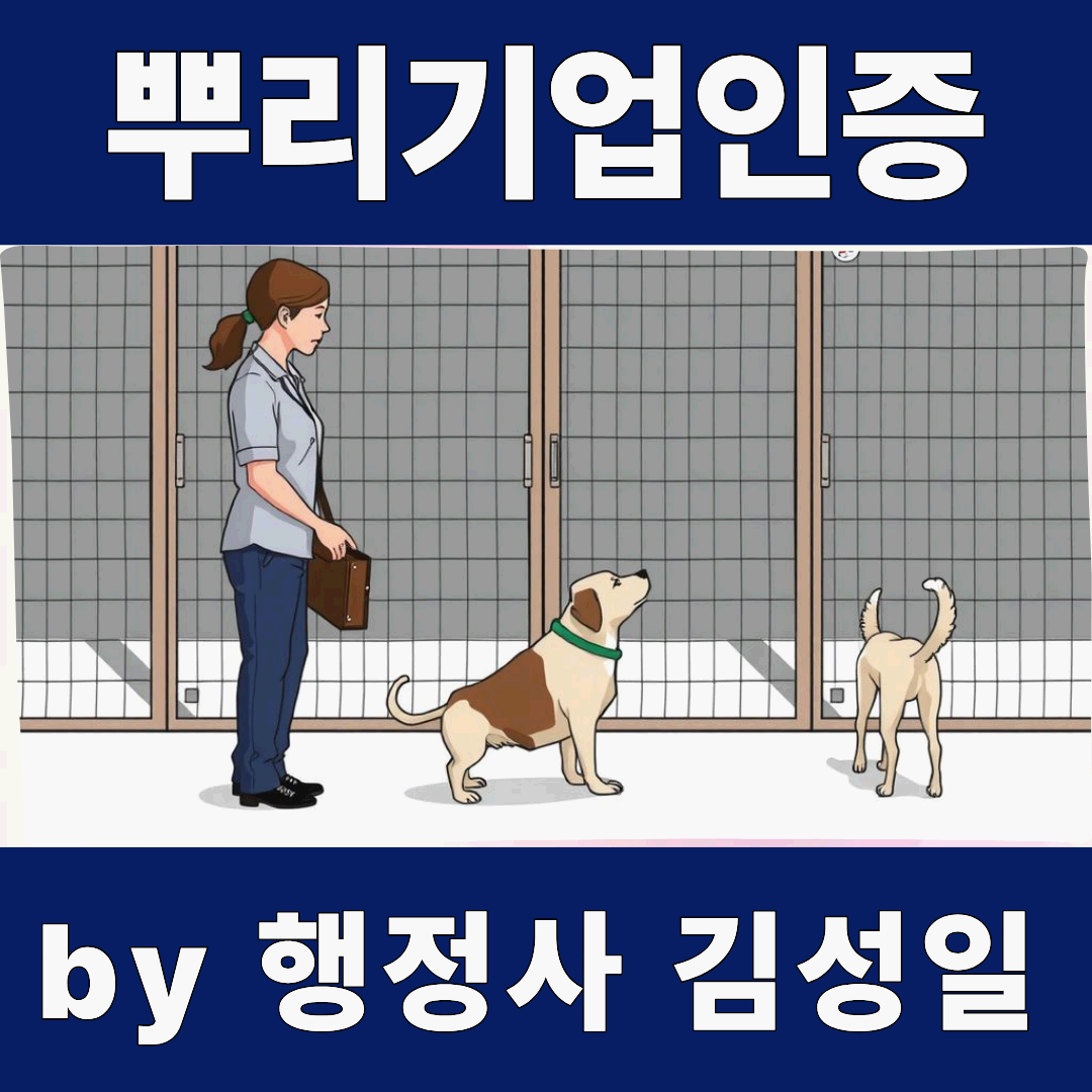 이노비즈인증 경영혁신성 점수를 높이는 문서 작성 실무 가이드