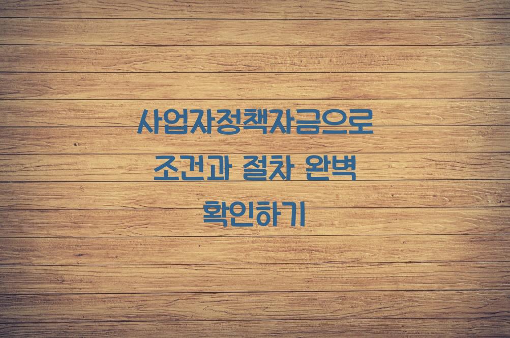 사업자정책자금