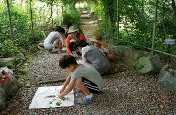 유명산 자연휴양림_10