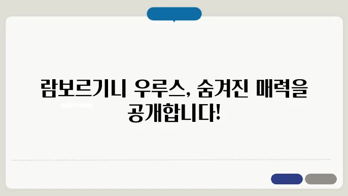 Lamborghini 람보르기니 SUV 우루스 전체 모델의 가격