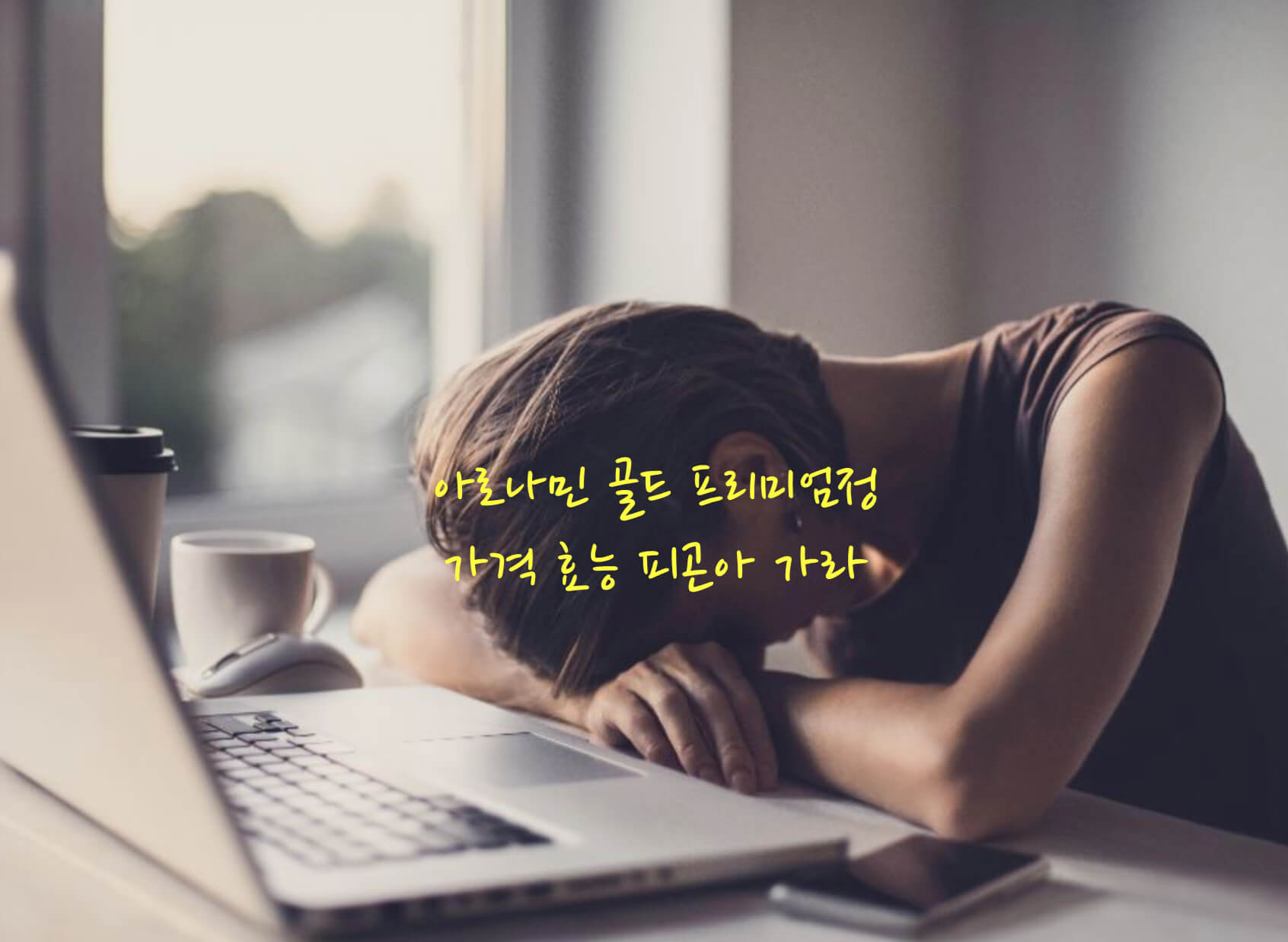 아로나민 골드 프리미엄정