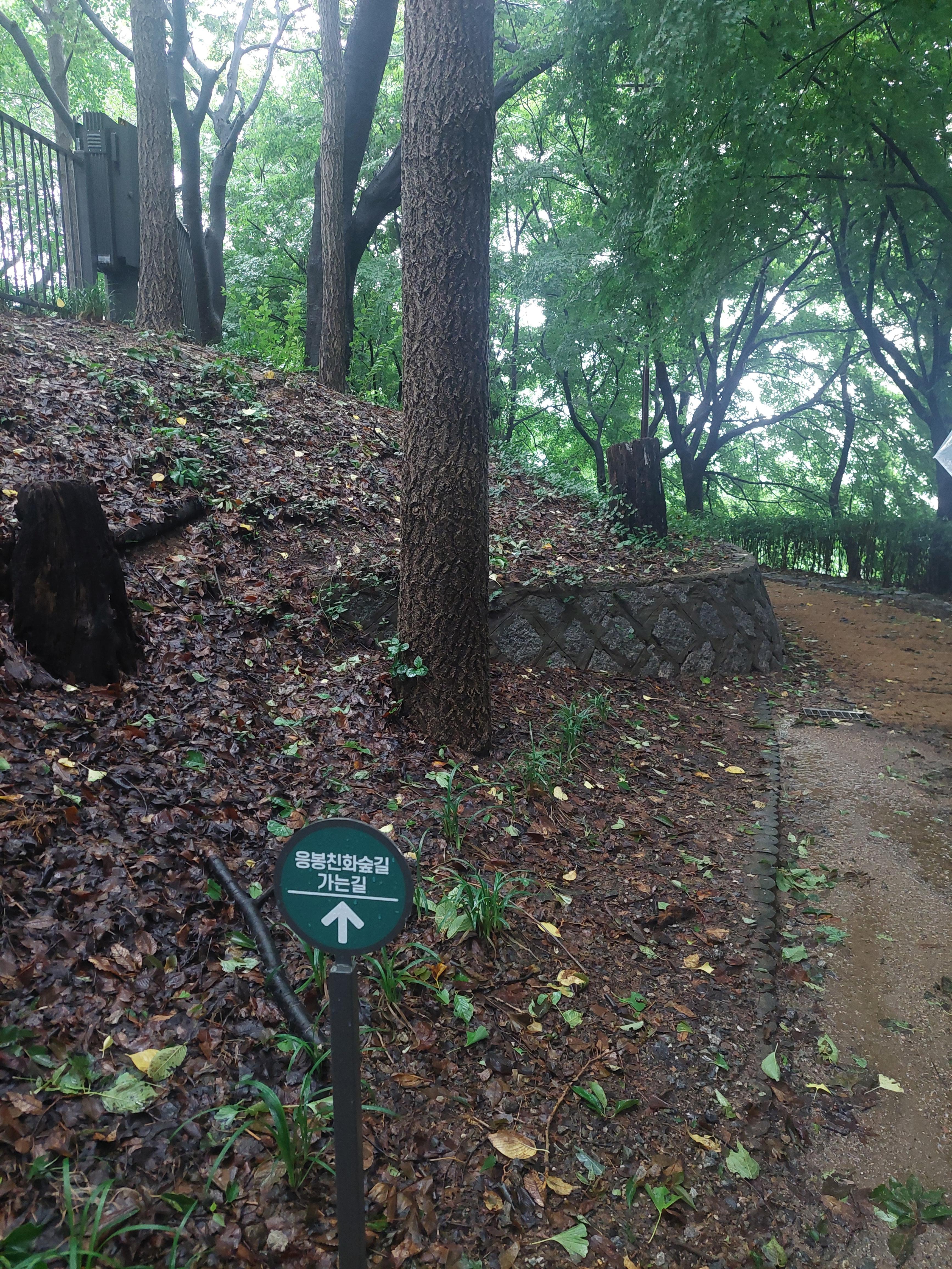 남산매봉산