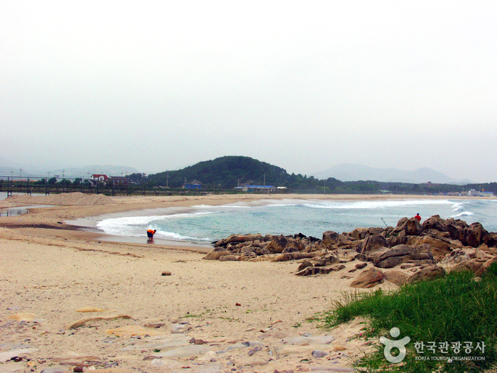해변 옆 기암괴석이 있다.