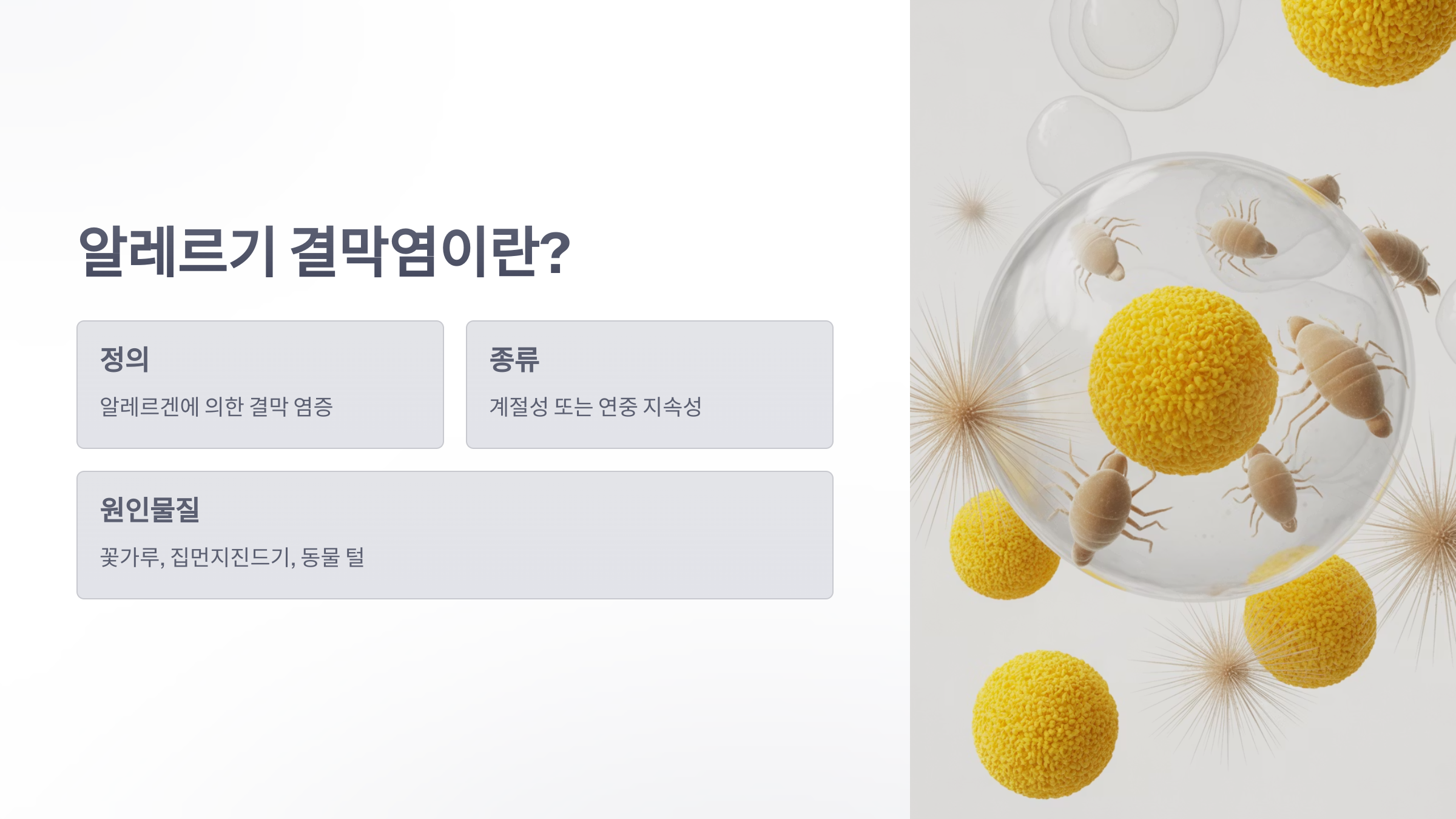 참조-알레르기-결막염-2