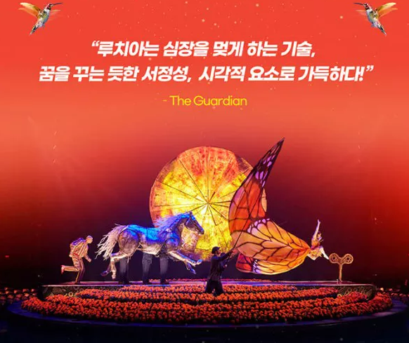 태양의 서커스 루치아