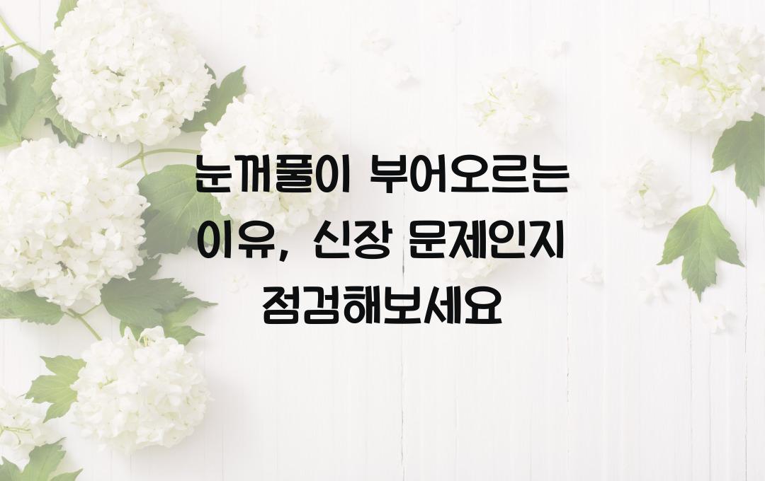 눈꺼풀이 부어오르는 이유, 혹시 신장 문제? 점검해보세요!