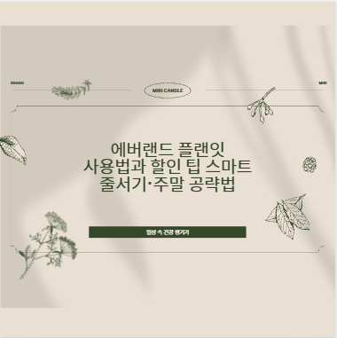 에버랜드 플랜잇 사용법과 할인 팁 스마트 줄서기&middot;주말 공략법