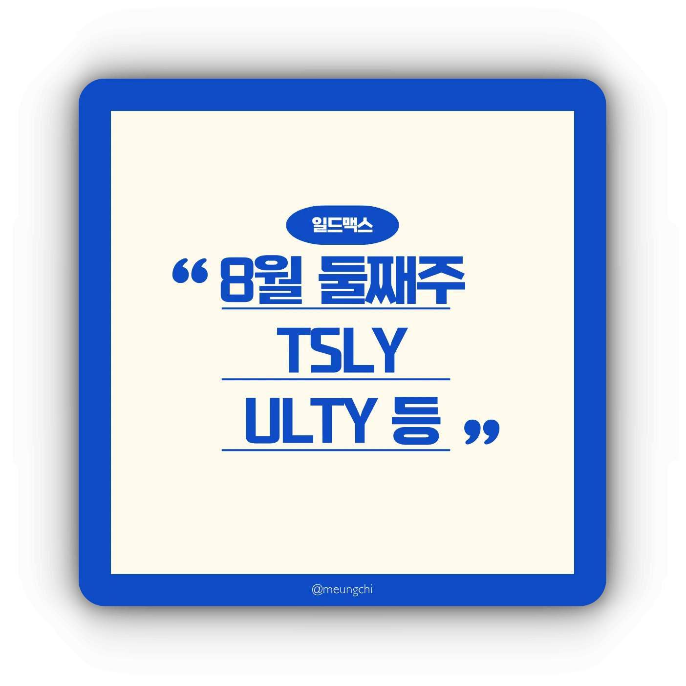 일드맥스 2025년 8월 배당 요약 이미지 - TSLY ULTI YMAX YMAG