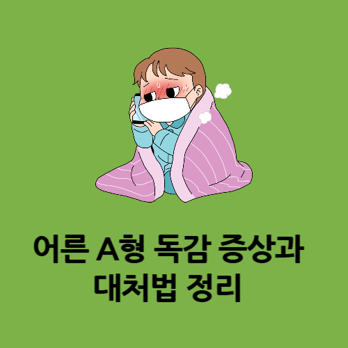 어른 A형 독감 증상과 대처법 정리