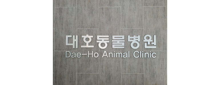 부산 영도구 동물병원