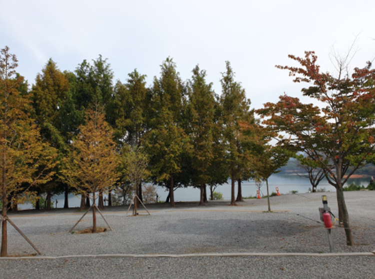 청풍호반 오토캠핑장