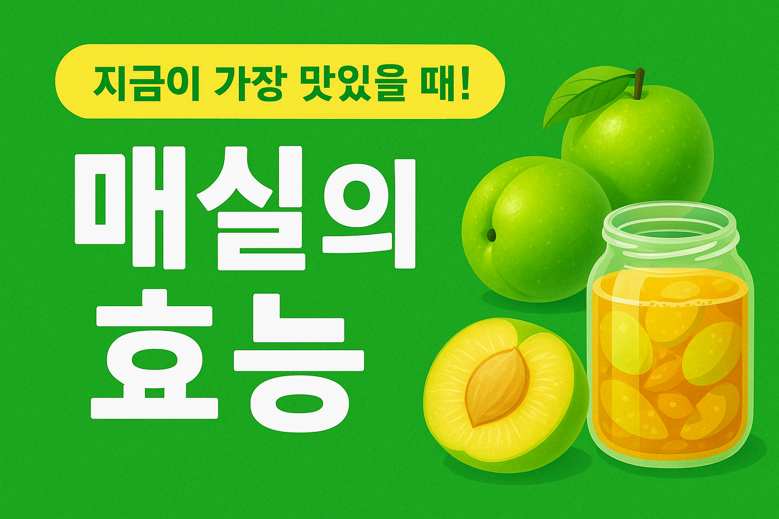 매실효능