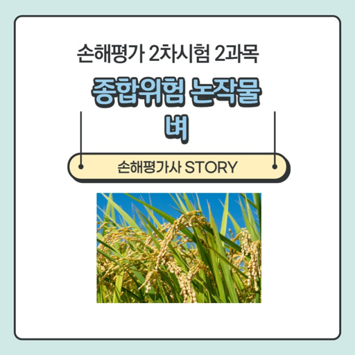 손해평가사 시험 안내 2026년 시험 일정