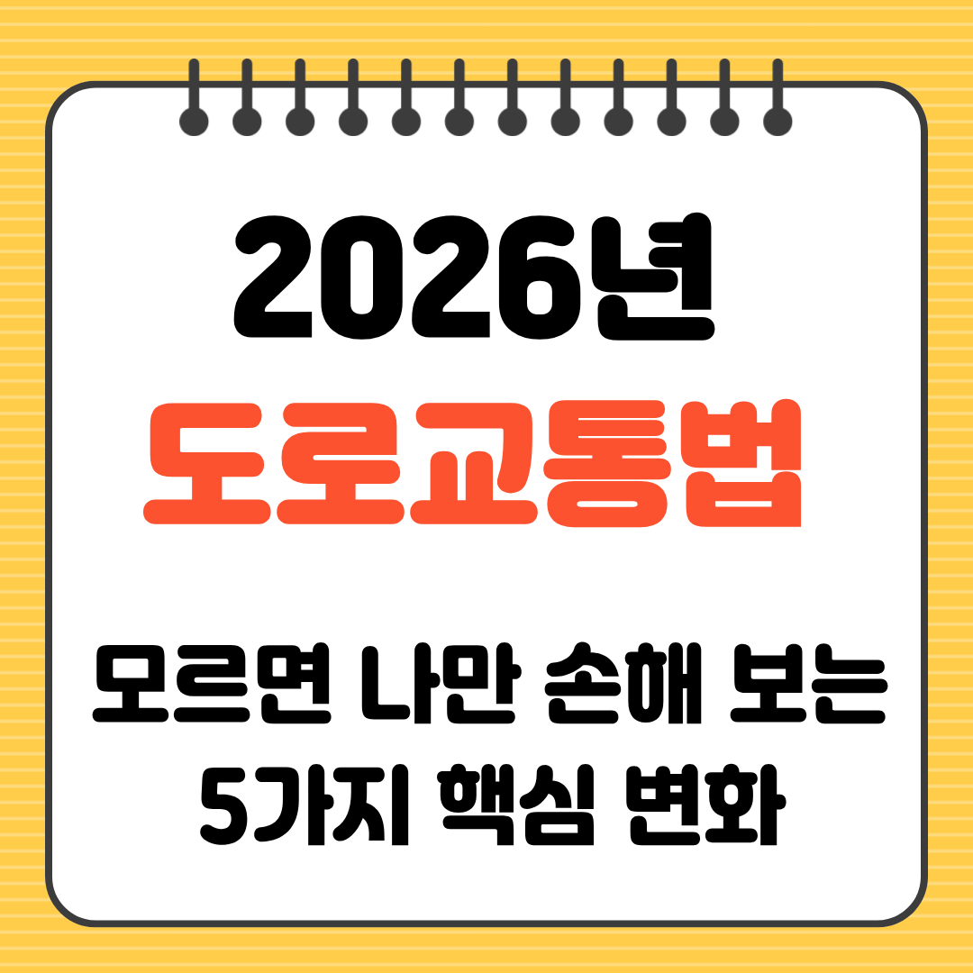 2026년 도로교통법 모르면 나만 손해 보는 5가지 핵심 변화
