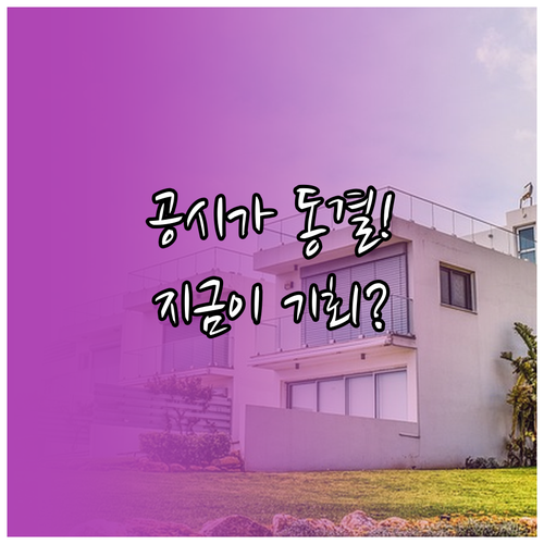 2025년 공시가격 동결 조치에 따른..