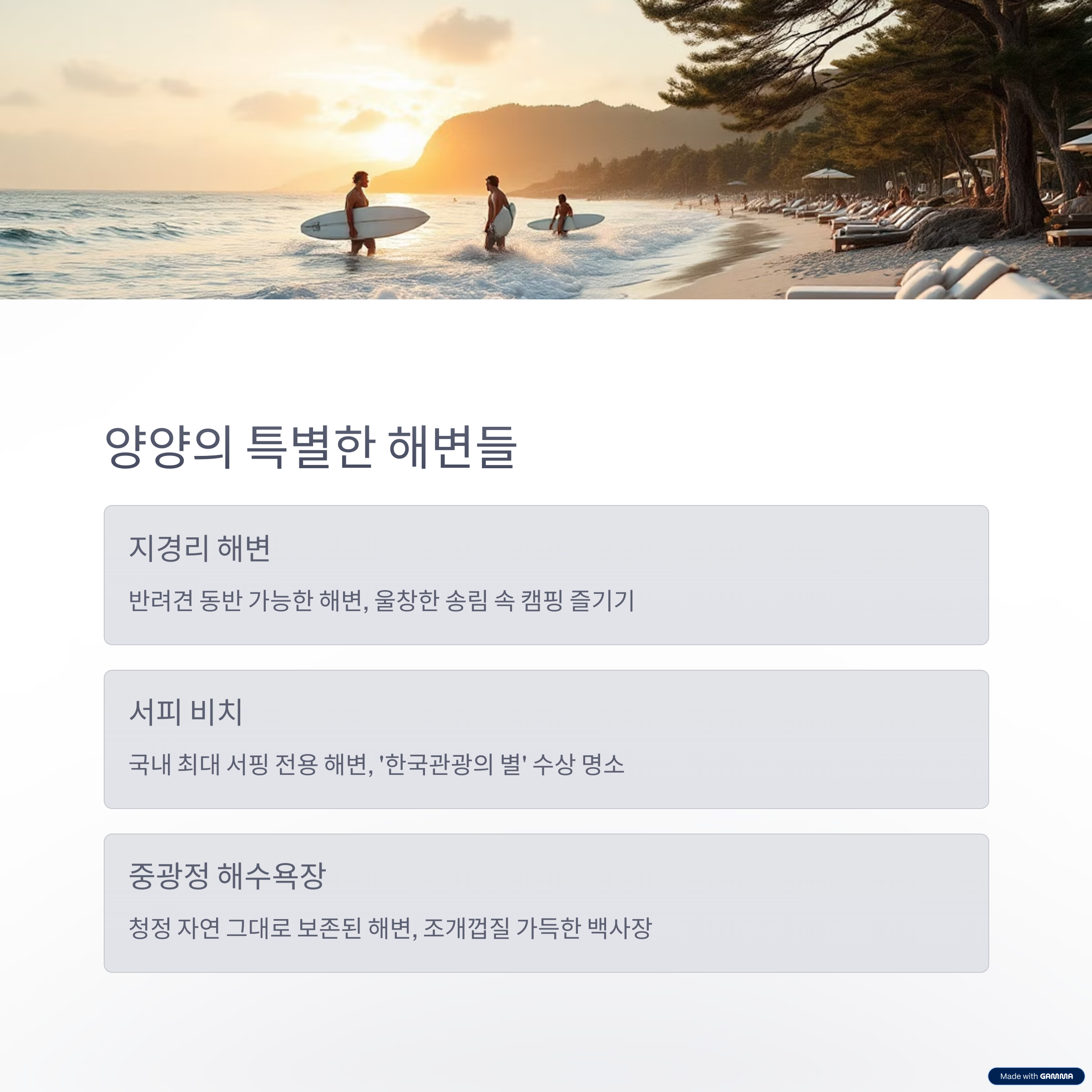 강원도 여름 해수욕장 여행지 BEST 8 – 동해, 강릉, 양양 명소 총정리