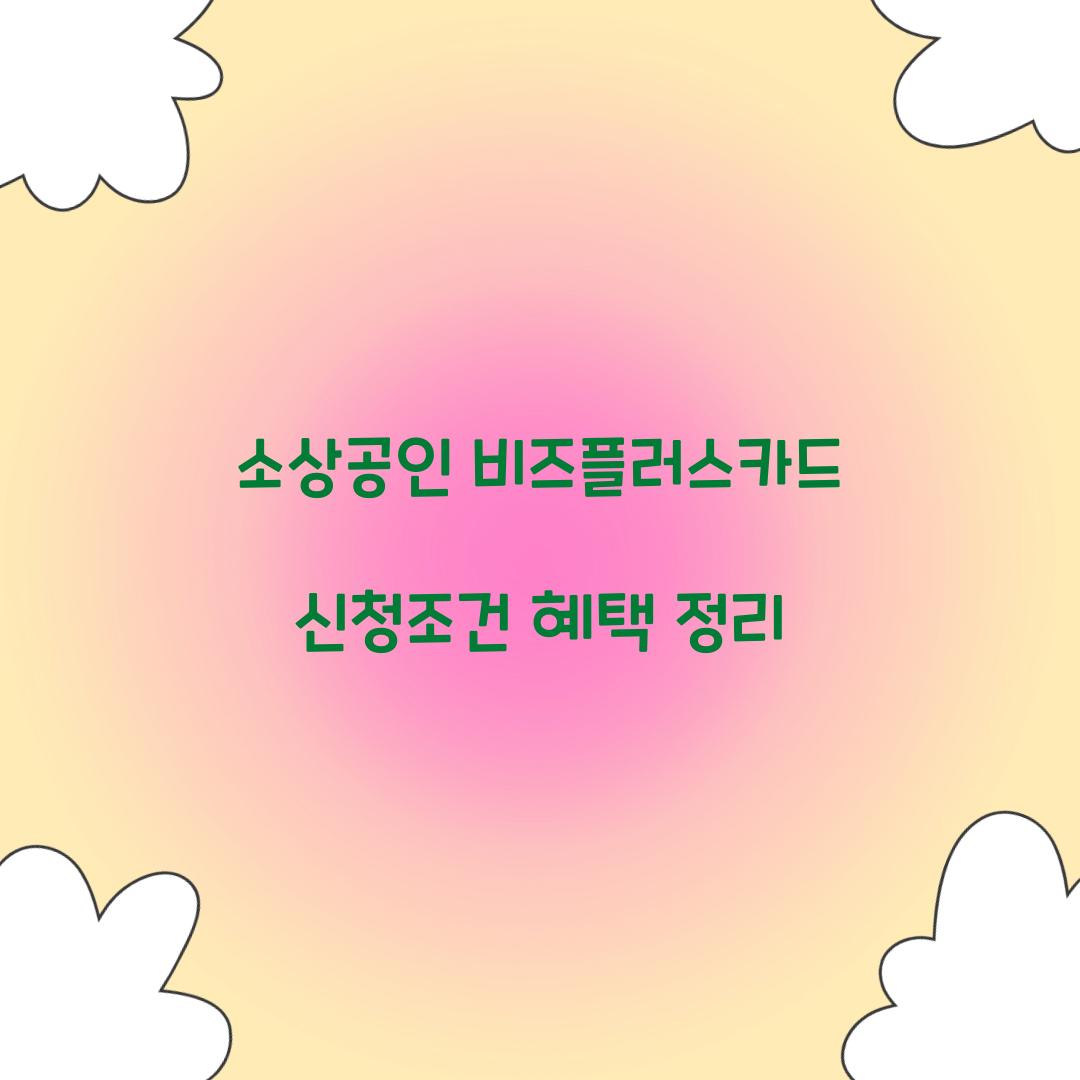 소상공인 비즈플러스카드