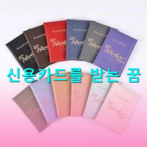 신용카드-주머니가-색상별로-12개로-펼쳐져있는-모습